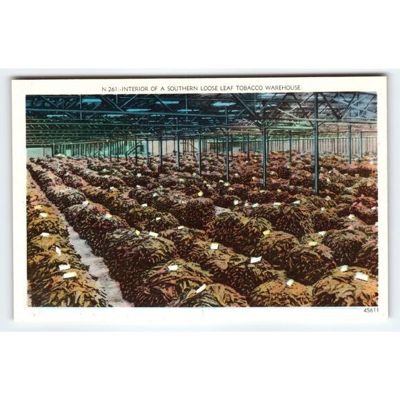 Vintage Linen Tobacco Warehouse Interior Postcard Asheville NC 1930s - Picture 1 of 2